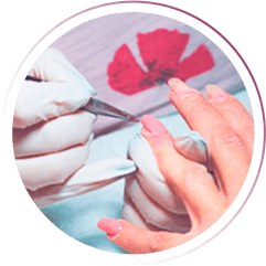 curso Escola Designer de Unhas